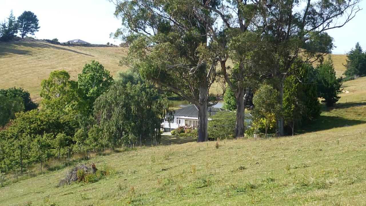 Tasman Farmstay Retreat Glenmhor Eksteriør billede